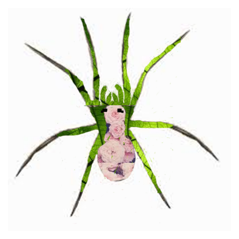 spider.psd.webp spider.psd.webp