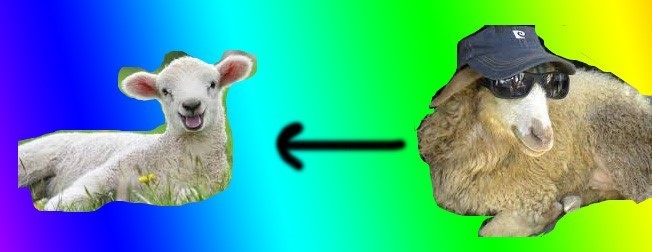 sheep thug.jpg